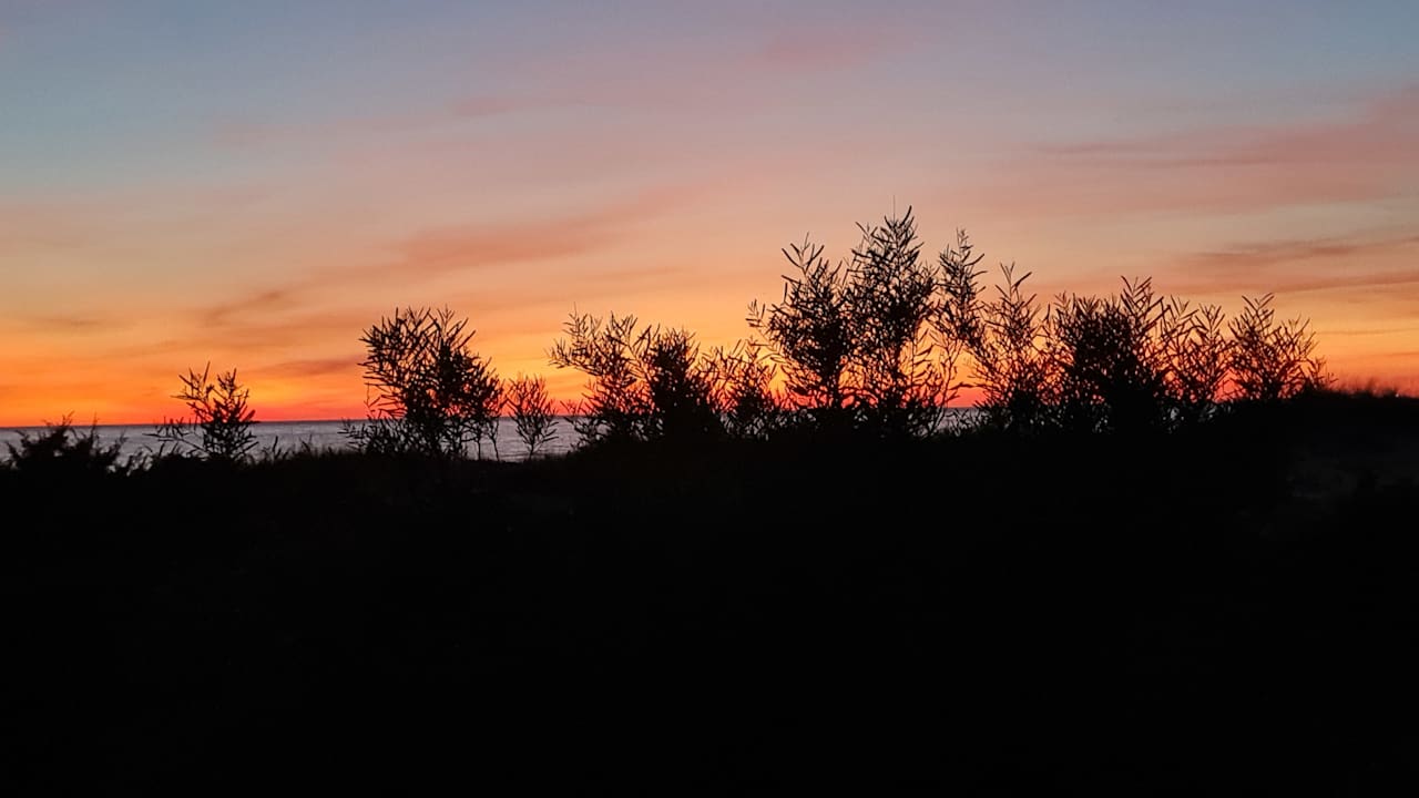 Strand Sol Sancti Petri Apartamentos