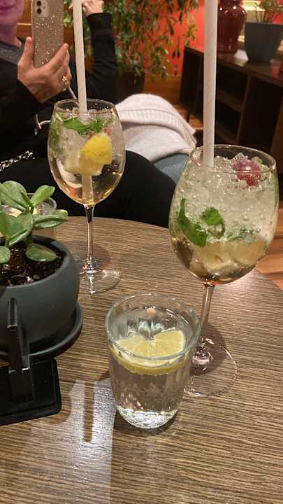 Gastro Arum Barut Collection