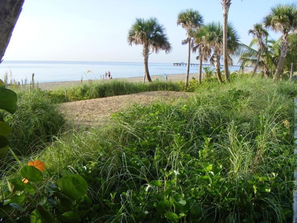 Der Strand Hotel Sole On The Ocean