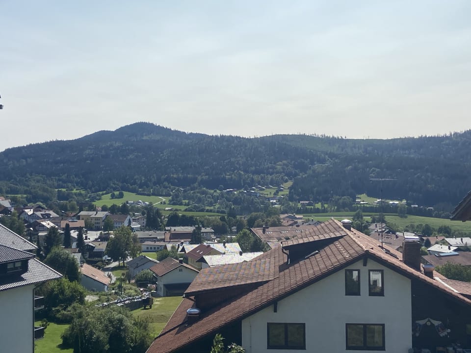 Ausblick Drei Tannen