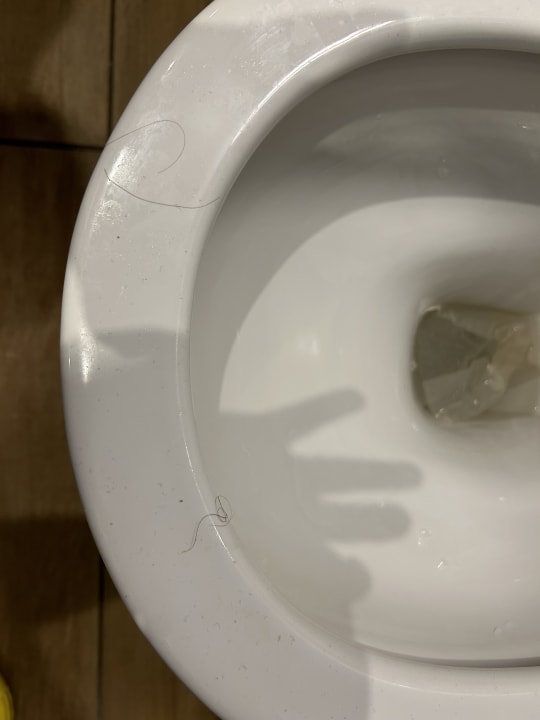 Zimmer Center Parcs Park Allgäu