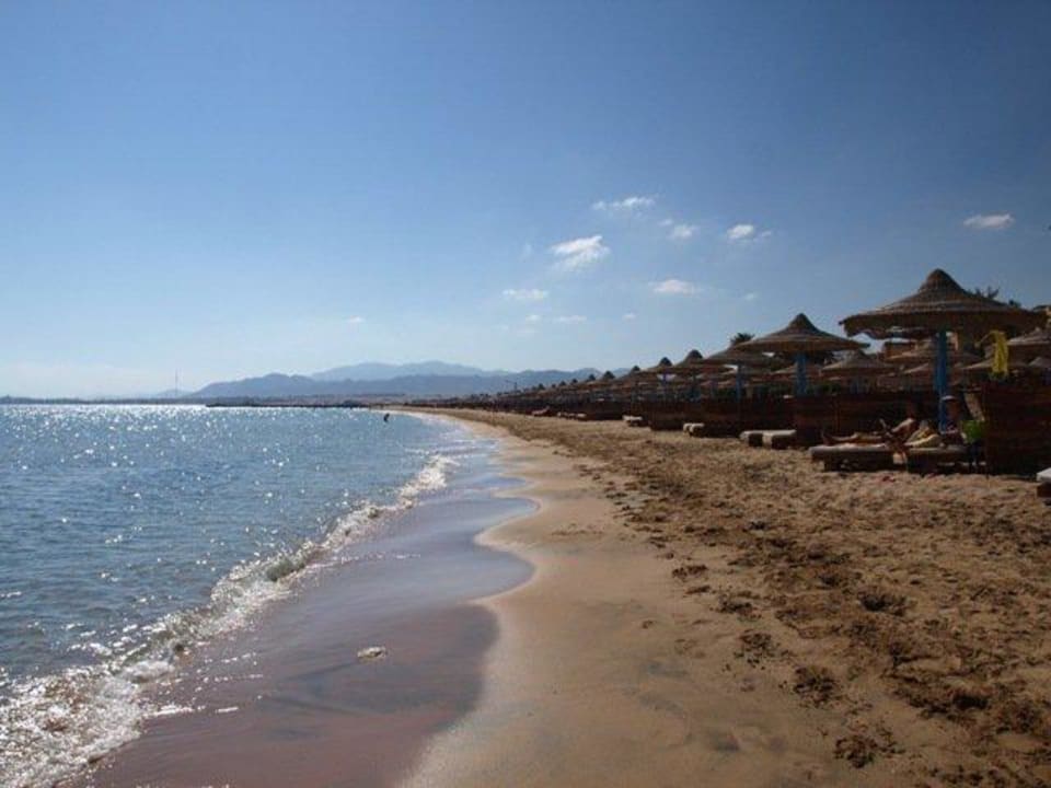 Strand Shams Prestige Abu Soma-Adults Only