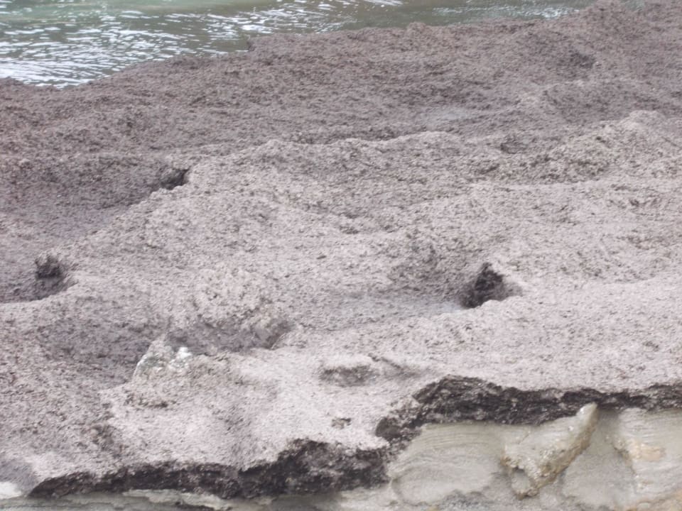 Seetang-"Strand" Ithea Suites Hotel