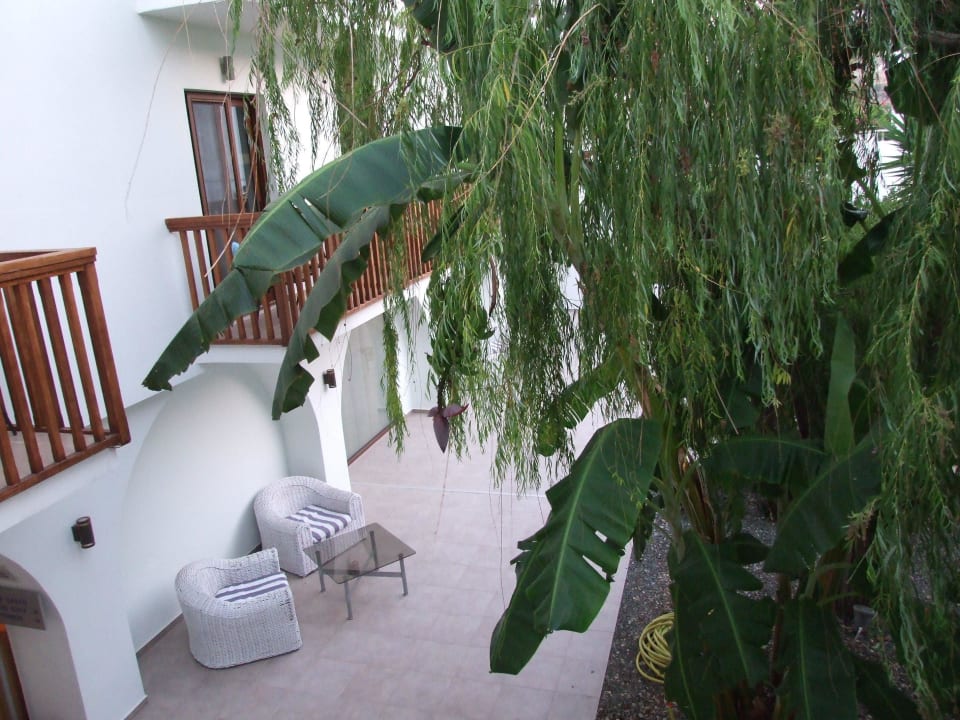 Drzewo bananowe TUI BLUE Oceanis Beach and Spa Resort