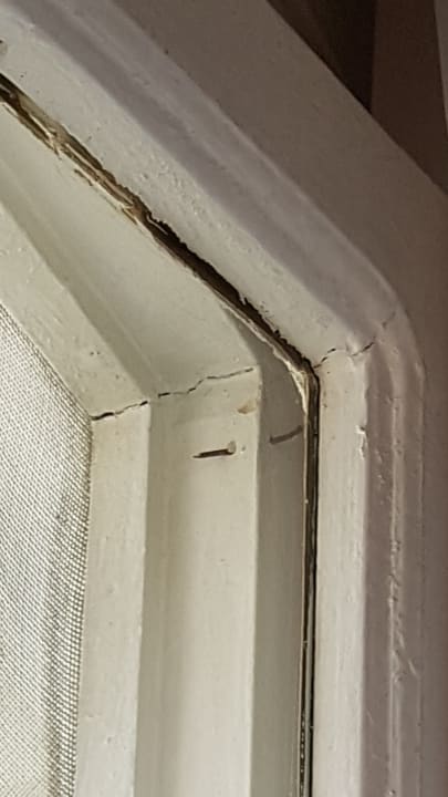 Zimmer Hotel Aslan City Kleopatra