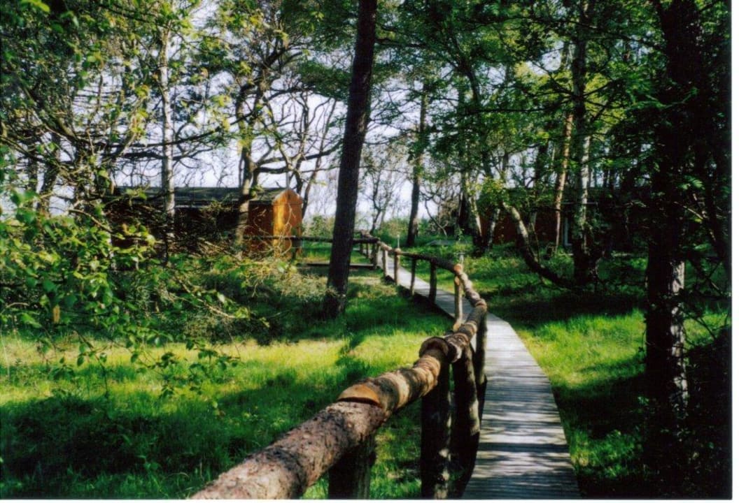 Ferienhaus Außenansicht Ferienpark Heidehof