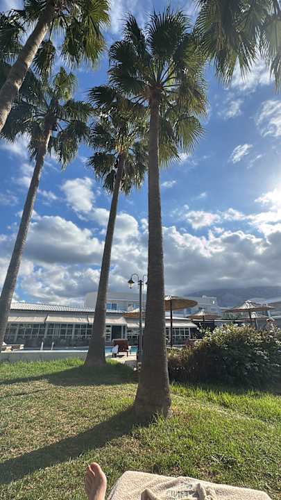 Gartenanlage Delfina Tropic Beach