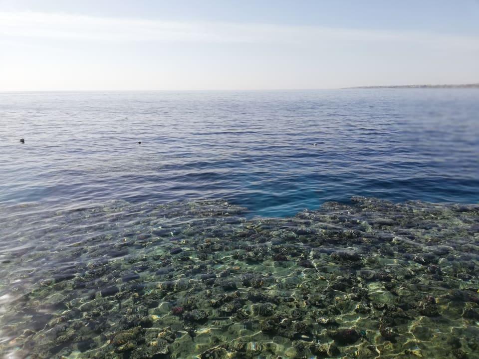 Strand Sharm Plaza