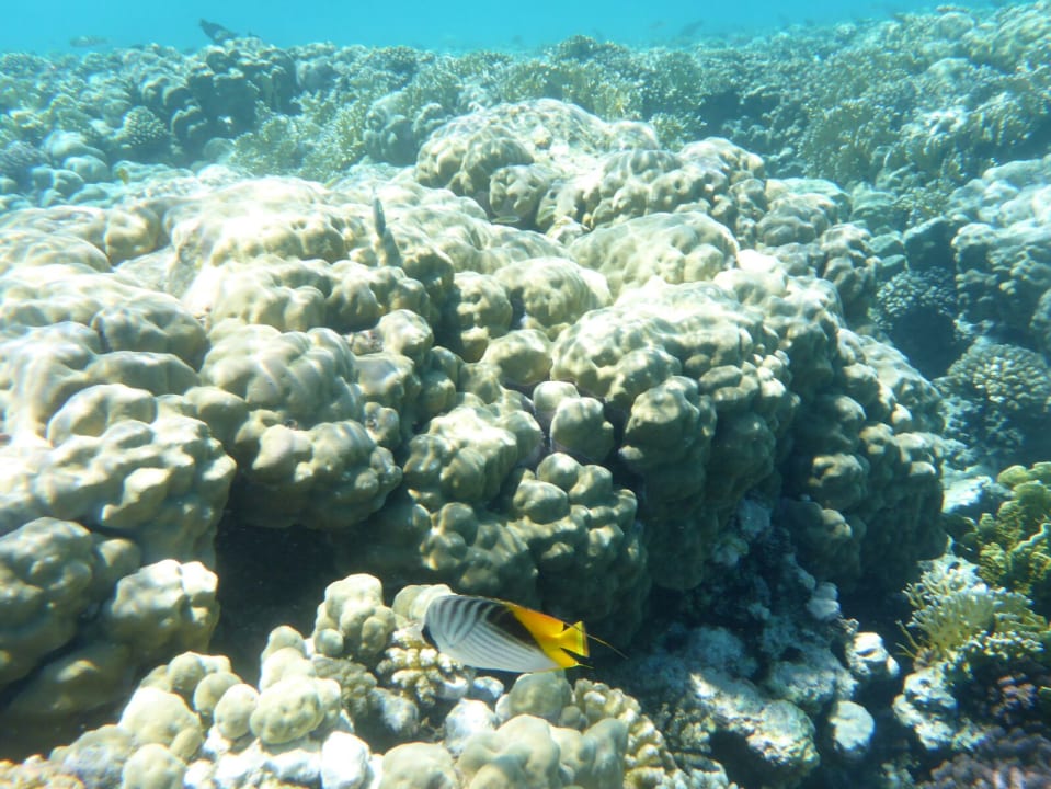 Sport & Freizeit Grand Makadi