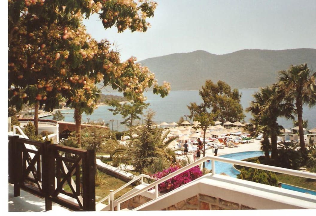 Pool,Meer und der insel Karaca Bodrum Holiday Resort & Spa