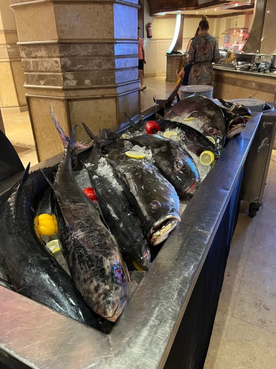 Gastro ROBINSON SOMA BAY