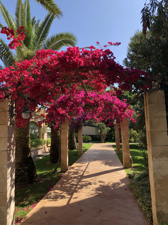 Gartenanlage Zafiro Mallorca