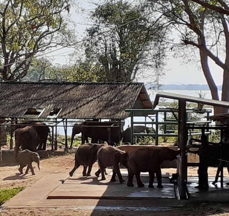 Ausblick Mermaid Hotel & Club