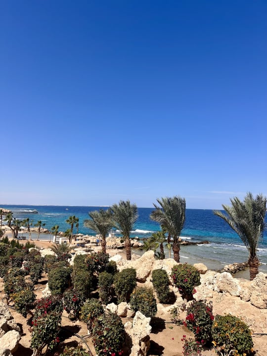 Ausblick Pickalbatros Citadel Resort