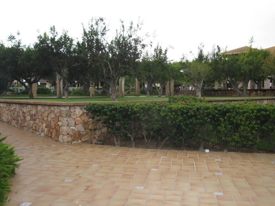 Blick in die Anlage Zafiro Mallorca