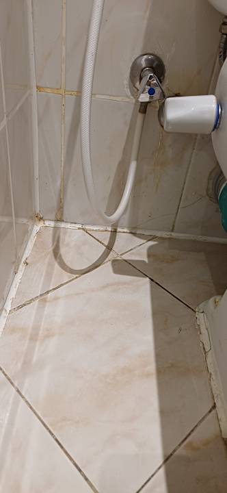 Zimmer Pharaoh Azur Resort