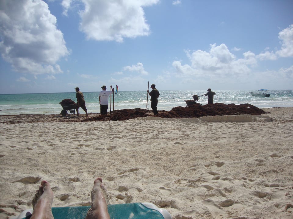 Hotel Catalonia Playa Maroma Catalonia Playa Maroma