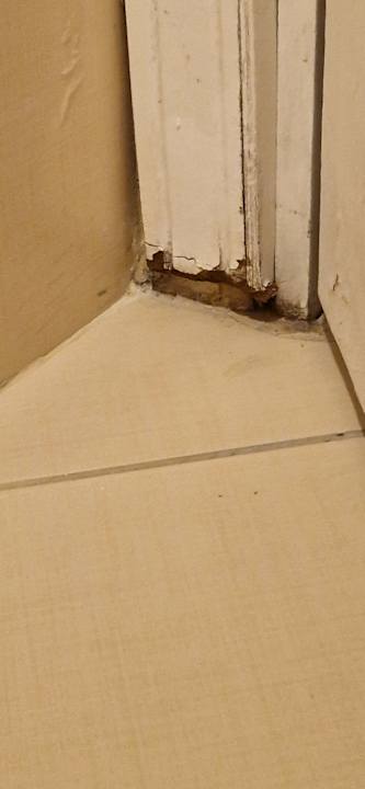 Zimmer Dream Family Club