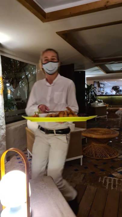 Zimmer Dreams Jardín Tropical