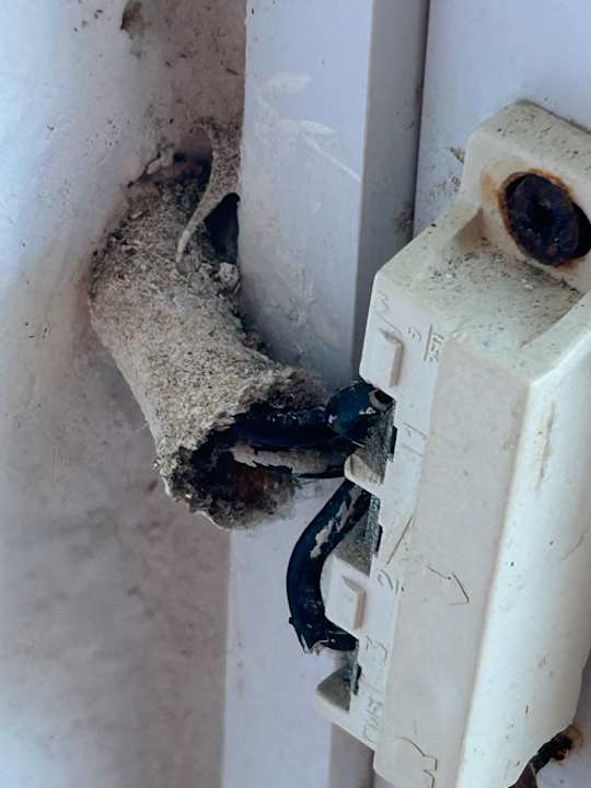 Zimmer Hipotels Mercedes