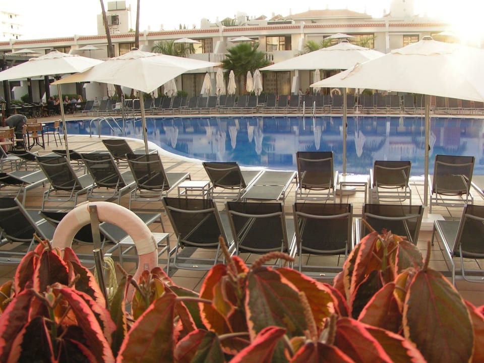 Wie man sieht keine Liegenreservierung ! allsun Hotel Los Hibiscos