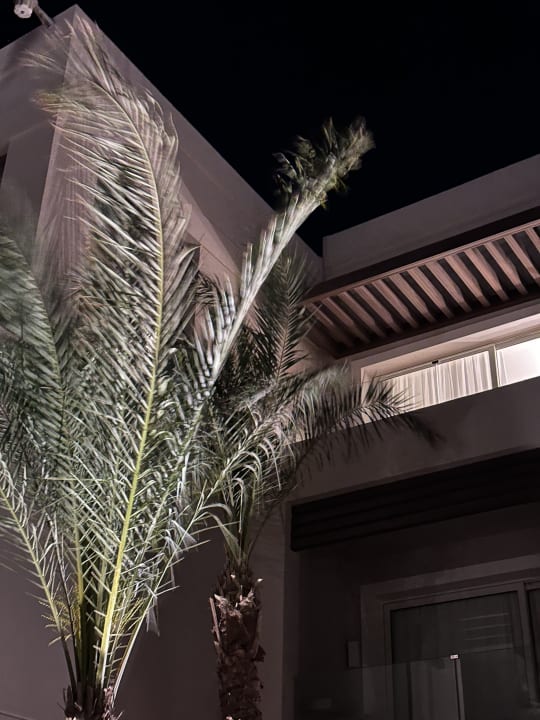 Gartenanlage Steigenberger Resort Ras Soma