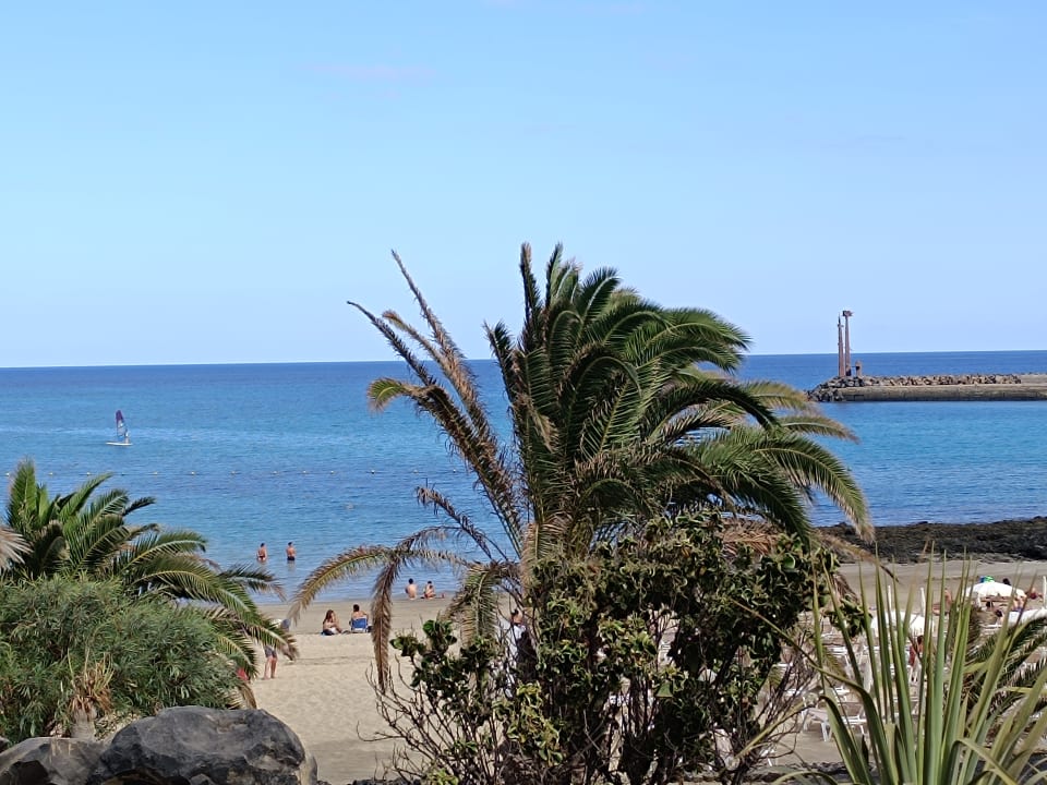 Ausblick allsun App.-Hotel Albatros