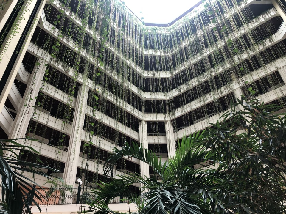 Außenansicht Blau varadero - Adults only