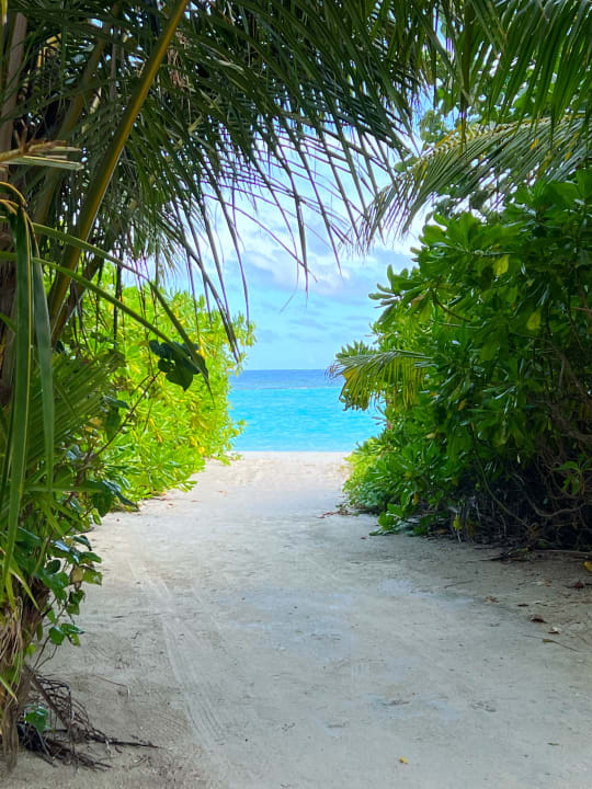 Ausblick Kuramathi Maldives