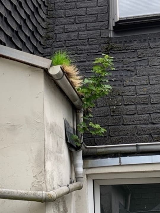 Außenansicht Rickmersstraße 61 Bremerhaven