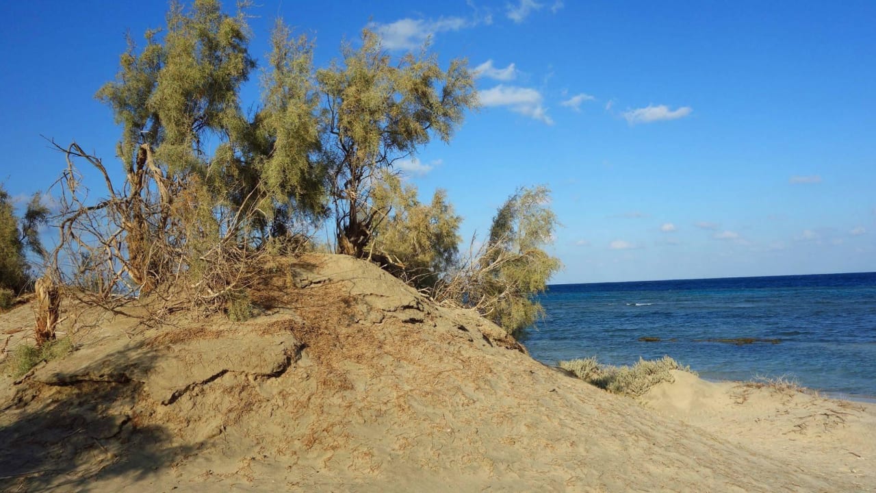 Strand Shams Alam Beach Resort