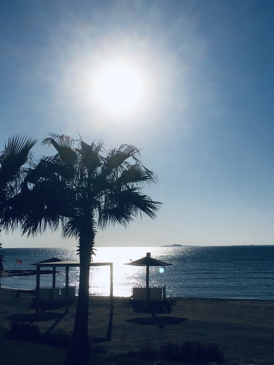 Strand Shams Prestige Abu Soma-Adults Only