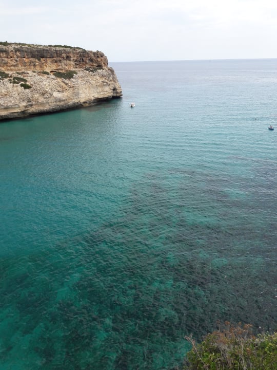 Ausblick Alua Calas de Mallorca Resort