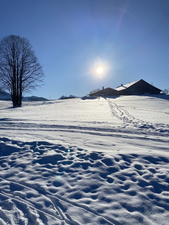 Ausblick Wohlfühlresort Peternhof