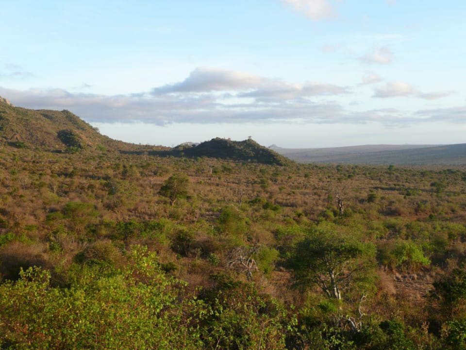 Ausblick Ngulia Safari Lodge