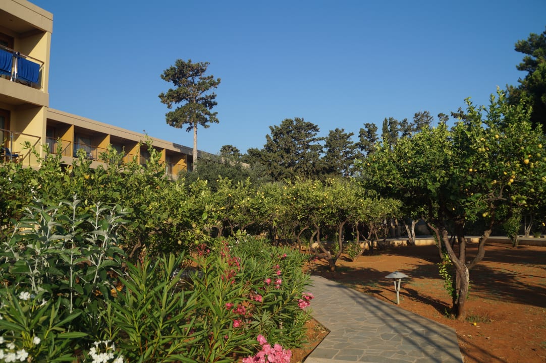 Garten Kernos Beach Hotel & Bungalows