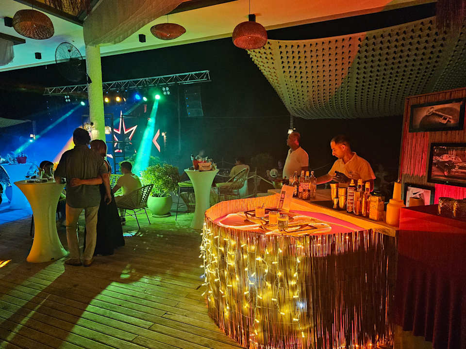 Strand Seashell Vega