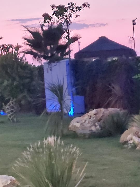 Sonstiges Dream Fun World