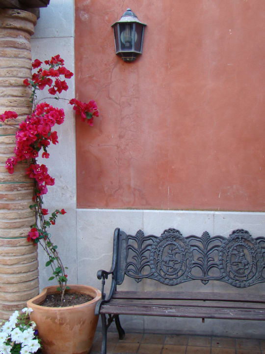 Terraza Hotel Vista Odin