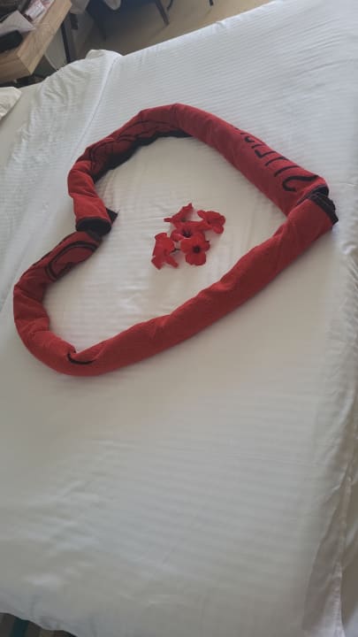 Zimmer Medina Solaria & Thalasso