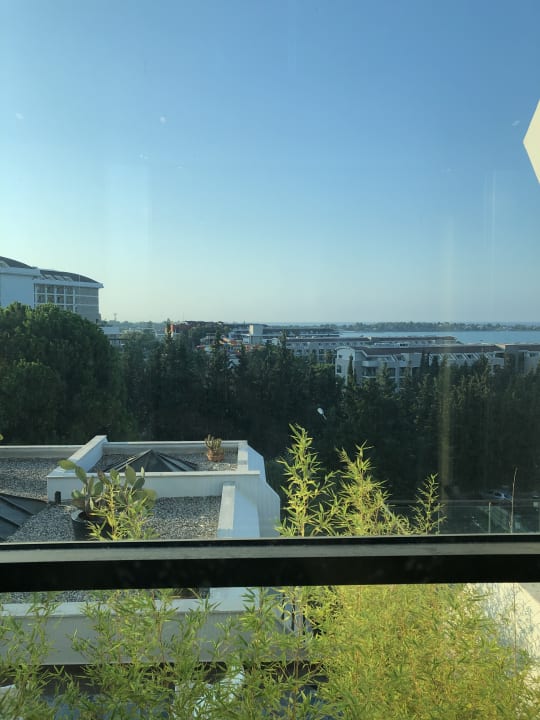 Ausblick Side Star Elegance