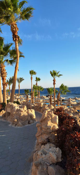 Strand Pickalbatros Citadel Resort