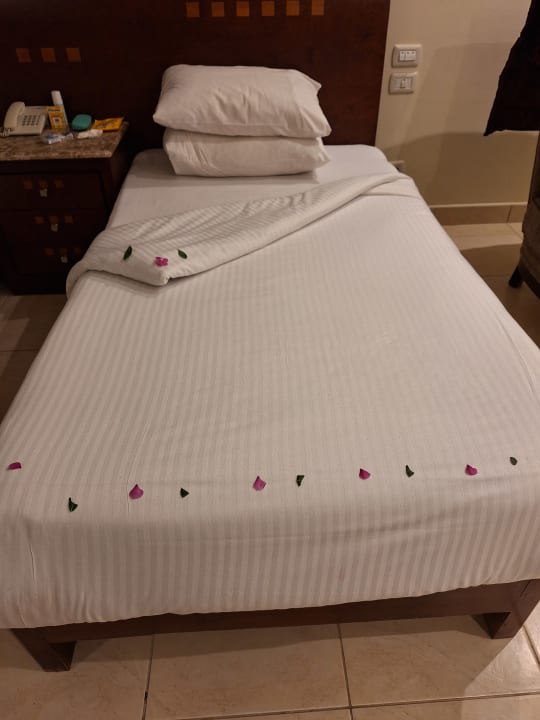 Zimmer Shams Prestige Abu Soma-Adults Only