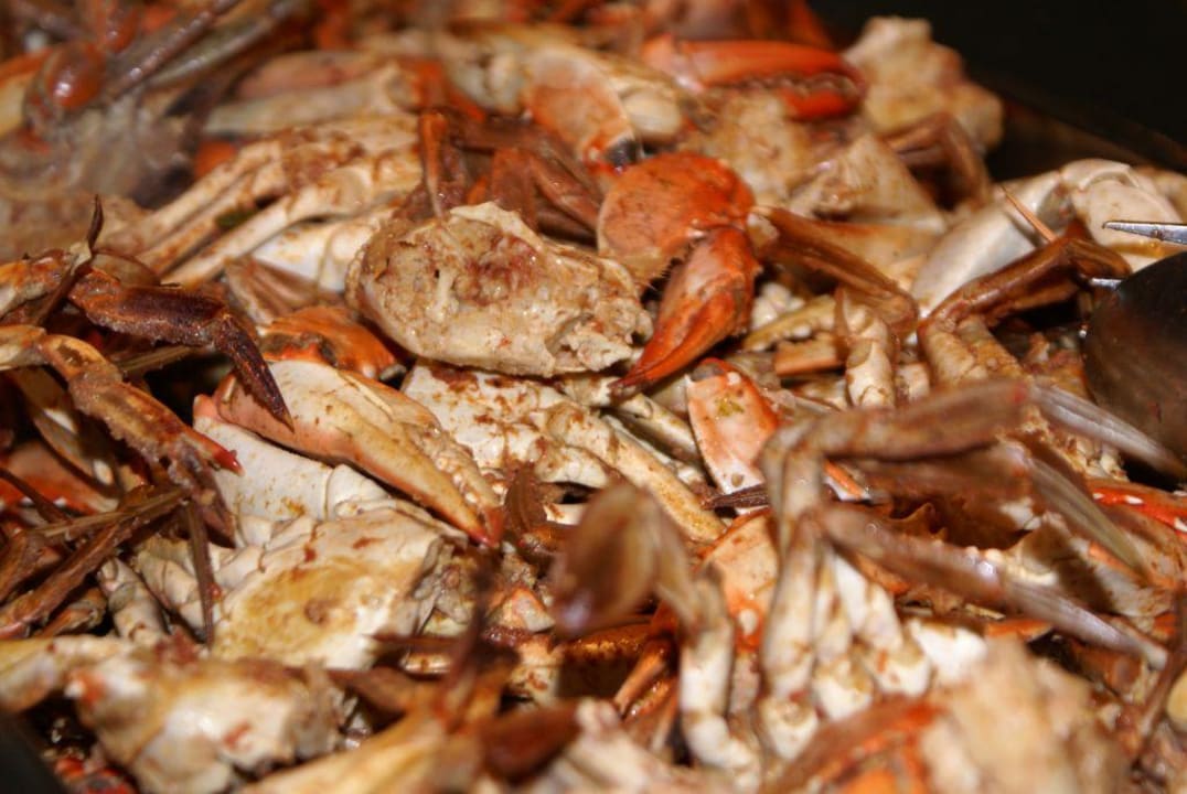 Gegrillte Krabben zum Abendessen Muthu Playa Varadero