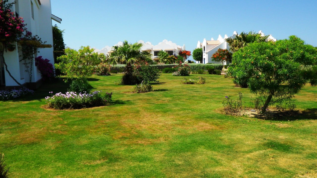 Lahami 2013 Lahami Bay Beach Resort