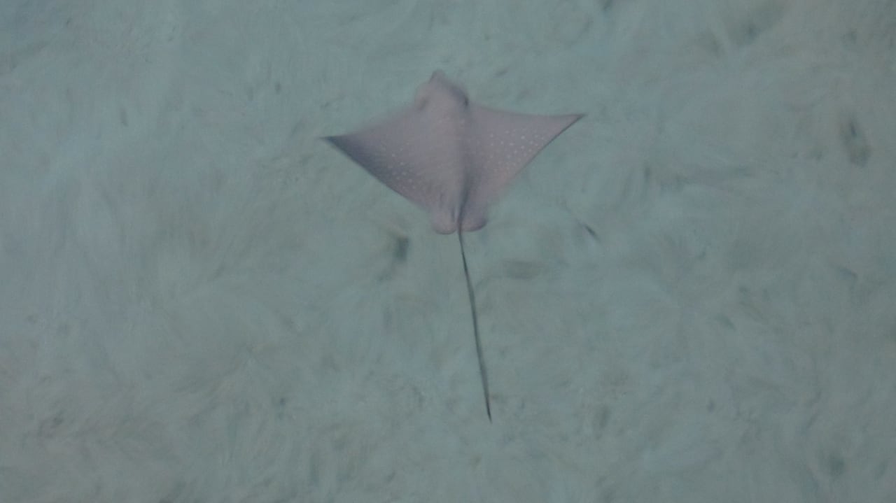 Rochen NH Collection Maldives Havodda Resort