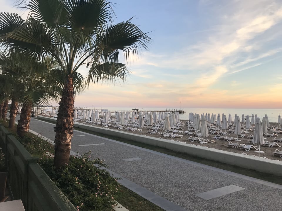 Strand PALOMA Perissia