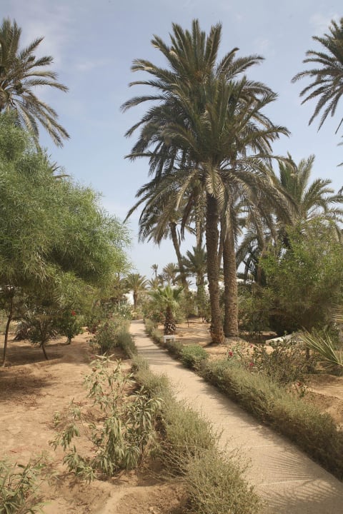 Die weitläufige Parkanlage Hotel Sangho Club Zarzis