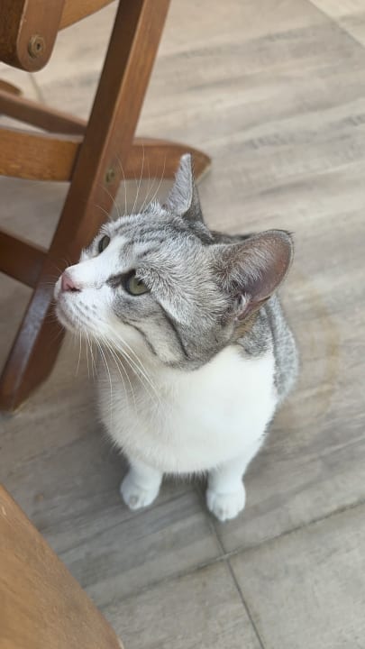 Sonstiges Side Star Elegance