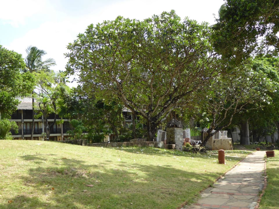 Blick zum Haupthaus Baobab Beach Resort & Spa